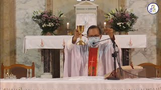 Catholic Mass Today Sunday 30 May 2021 [upl. by Anjela]