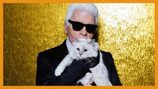 Choupette the cat behind Karl Lagerfeld spotlight [upl. by Eli]