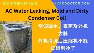 AC Water Leaking Mold and Dirty Condenser Coil 空调漏水，霉菌及外机太脏等问题 [upl. by Alemak]