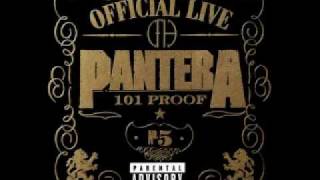 Walk  Official Live 101 Proof [upl. by Dhu952]