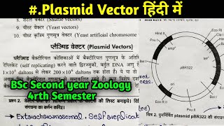 Plasmid Vectors  pBR322 Plasmid Vector  pUC8 Plasmid Vector BSc 2nd year Botany 4rth semester [upl. by Enaid]