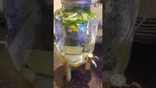 Detox Water [upl. by Kathie]