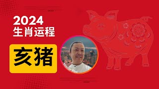 生肖猪2024运程大爆料！ [upl. by Remsen]