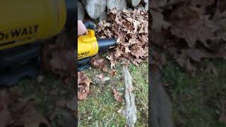 Leaf blower fypシ゚viral funnypictures funny [upl. by Shawnee]