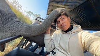 Elephant lay malai ke Garyo asto🥰😍 [upl. by Rhett]