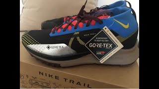 Nike Pegasus Trail 4 GORETEX [upl. by Rasia]