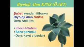 Biyoloji ÖABT KPSS [upl. by Grannias400]