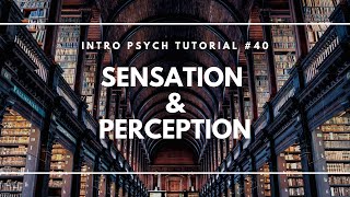 Introduction to Sensation and Perception Intro Psych Tutorial 40 [upl. by Jojo]