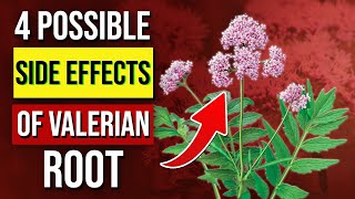 Valerian Root 5 Possible Side Effects [upl. by Sutton]