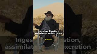 Digestion assimilation and excretion Explained by Sadhguru inspirational shortvideo sadhguru [upl. by Anelet]