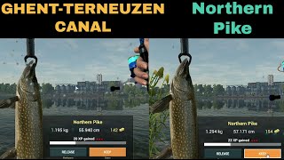 Fishing Planet GhentTerneuzen Canal Netherlands Northern Pike [upl. by Leonardi]