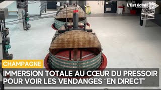 Pendant les vendanges immersion totale au cœur du pressoir à Meurville [upl. by Cosmo]