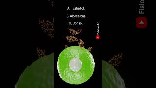 Repasa fisiología Endocrina  Preguntas y respuestas de la fisiología del sistema endocrino [upl. by Alisen]