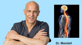 How to Heal Nerve Pain Pinched Nerve Neuropathy  Dr Alan Mandell DC [upl. by Madelena]