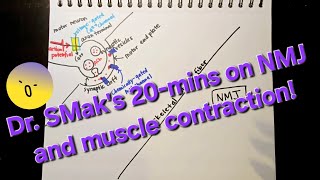 Dr SMaks 20mins on Action Potential in a Neuron and NMJ Part 2 [upl. by Collier]