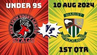 Under 9s New Lynn Stags vs Marist  1st Qtr 10 August 2024 [upl. by Roselane]