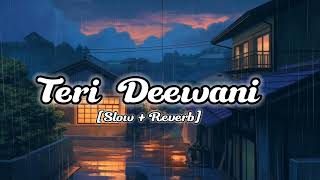 Teri Deewani Slow  ReverbKailash Kher [upl. by Luoar]