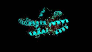 Folding of nEIt 248 amino acids from a single 4D NMR spectrum with 4DGRAPHS and OpenFold [upl. by Trudi]