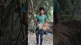 13° তাপমাত্রায় মাছ ধরা চ্যালেঞ্জ করলাম 🥰 MiniVlog674 shorts [upl. by Hamaso564]