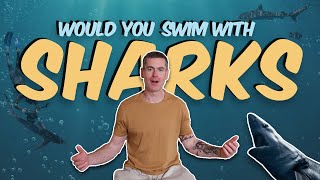 Would You Swim With Sharks For Fun [upl. by Ronnica]