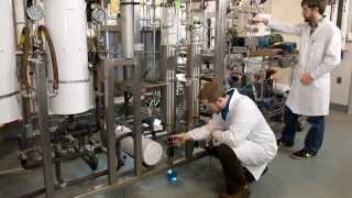 Lobster Pasteurization at BIOFOODTECH [upl. by Alioz73]