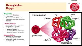 Hemato 05Anémies Hémolytiques congénitales Betathalassémie Dr Abbadi [upl. by Blondell]