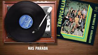 Nara Leão  Lindonéia Tropicália Ou Panis Et Circense Lyric Video [upl. by Natek]