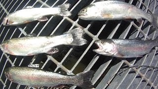 Bait Fishing 87  Stocked Rainbow Trout Spillway Fishing with Corn Worms and Powerbait [upl. by Urbain]