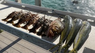 Catching Groceries for the Week on an Island  Florida Keys [upl. by Levinson406]