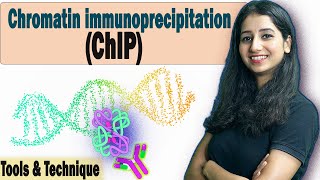 Chromatin immunoprecipitation ChIP I Tools amp Technique I DNA Protein Interaction Complete Details [upl. by Aicenra]