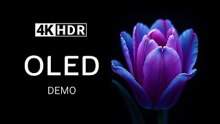 In Black OLED Demo 4K HDR Ultra HD Dolby Vision 60fps  Color Fusion [upl. by Irec]