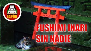 Fushimi Inari sin nadie – consejos para evitar la muchedumbre guía turística de Japón en español [upl. by Boak]