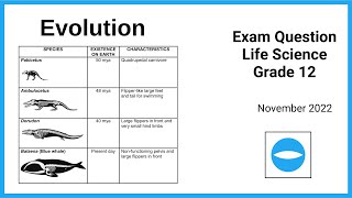 Exam question  Evolution  Life science grade 12  November 2022 [upl. by Blessington]