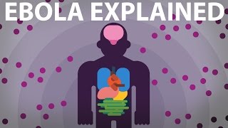 The Ebola Virus Explained — How Your Body Fights For Survival [upl. by Yong]