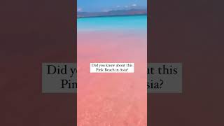 pink beach🥰 explore 🥰Tourist spot Asia🥰🥰 shorts short shortsvideo jubinnautiyal [upl. by Nee]