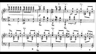 SaintSaëns  Liszt Danse Macabre Op40S555 Cohen [upl. by Ahsaret]