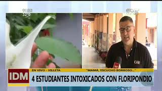 Estudiantes intoxicados luego de consumir floripondio [upl. by Soisanahta911]