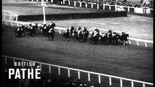 Horse Race Melbourn Cup 1945 1945 [upl. by Ellertal]