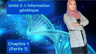 Unité 2 l’information génétique et son mécanisme d’expressionchapitre 1 partie 1 [upl. by Aleyam570]