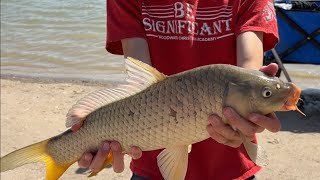 Catching Common Carp at Fort Supply Lake OK [upl. by Anayd]