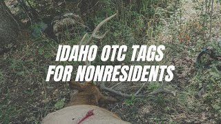 How to Get Idaho Over the Counter Tags for Nonresidents [upl. by Nodlew]