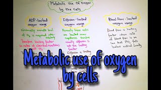 Metabolic use of oxygen by cells Chapter 41 part 4 Guyton and hall book of medical physiology [upl. by Ayhay]