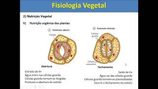 Fisiologia Vegetal [upl. by Leirum]