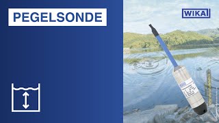 WIKA  Hydrostatische Füllstandsmessung mit Pegelsonde [upl. by Ahsened]