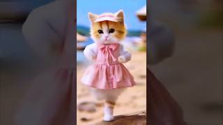 Cute Cat Dance 🙀little cute kitty kitten shorts [upl. by Aciria]