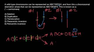 Translocation Paracentric inversion Pericentric inversion [upl. by Scotney681]