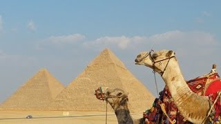 Egypt with Bunnik Tours [upl. by Anrapa]