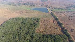 Lisoka  Bamboo Plantation Malawi [upl. by Rochester]