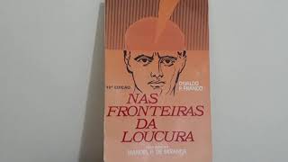 Audiolivro Nas Fronteiras da Loucura  Cap 25 [upl. by Gayleen976]