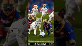 Funny 🤣 Cats 🐈 😻 amp Dogs 🐕 Football Soccer Game cats Dogs funny football Soccer game [upl. by Moitoso]